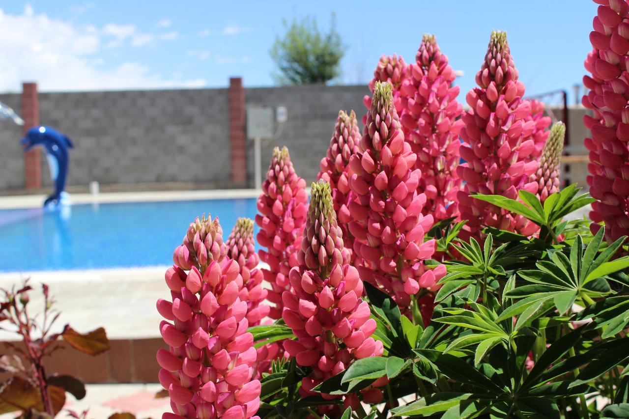Zlata Inn Tamchy Buitenkant foto